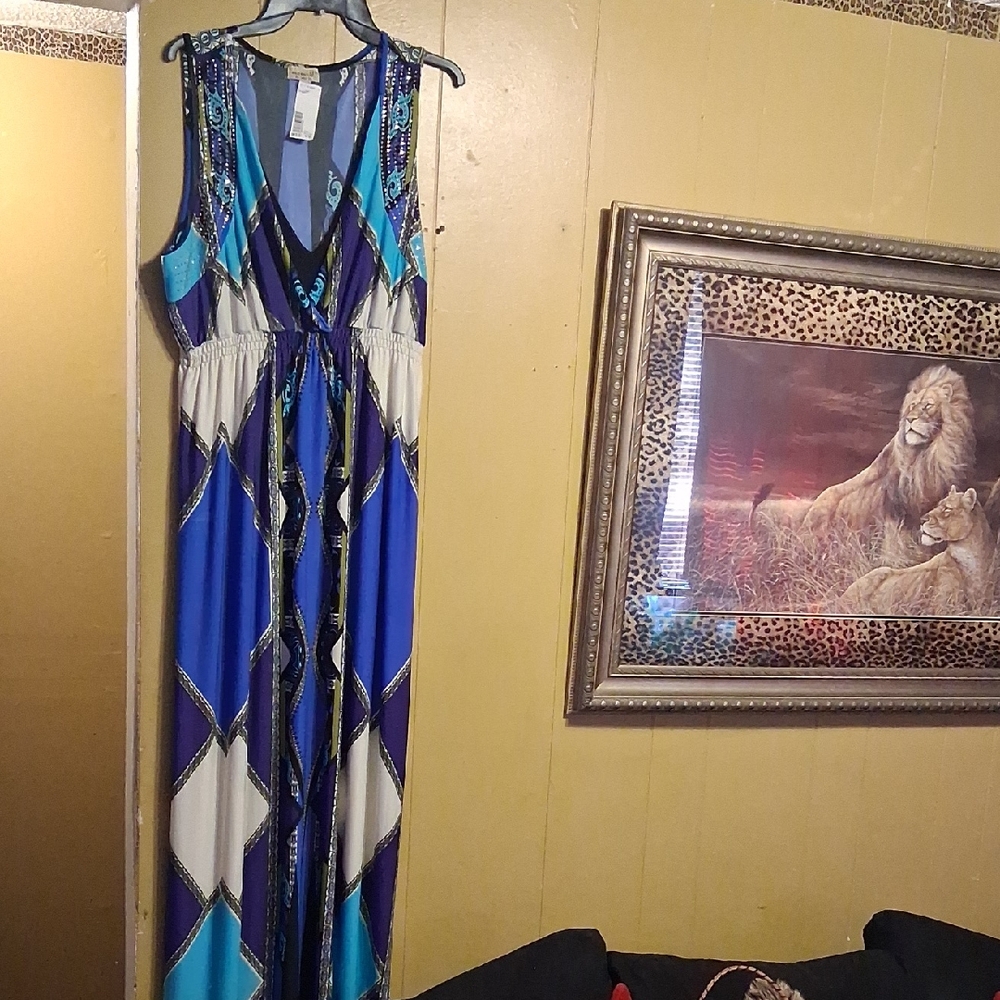 Elegant Blue and White Maxi Dress